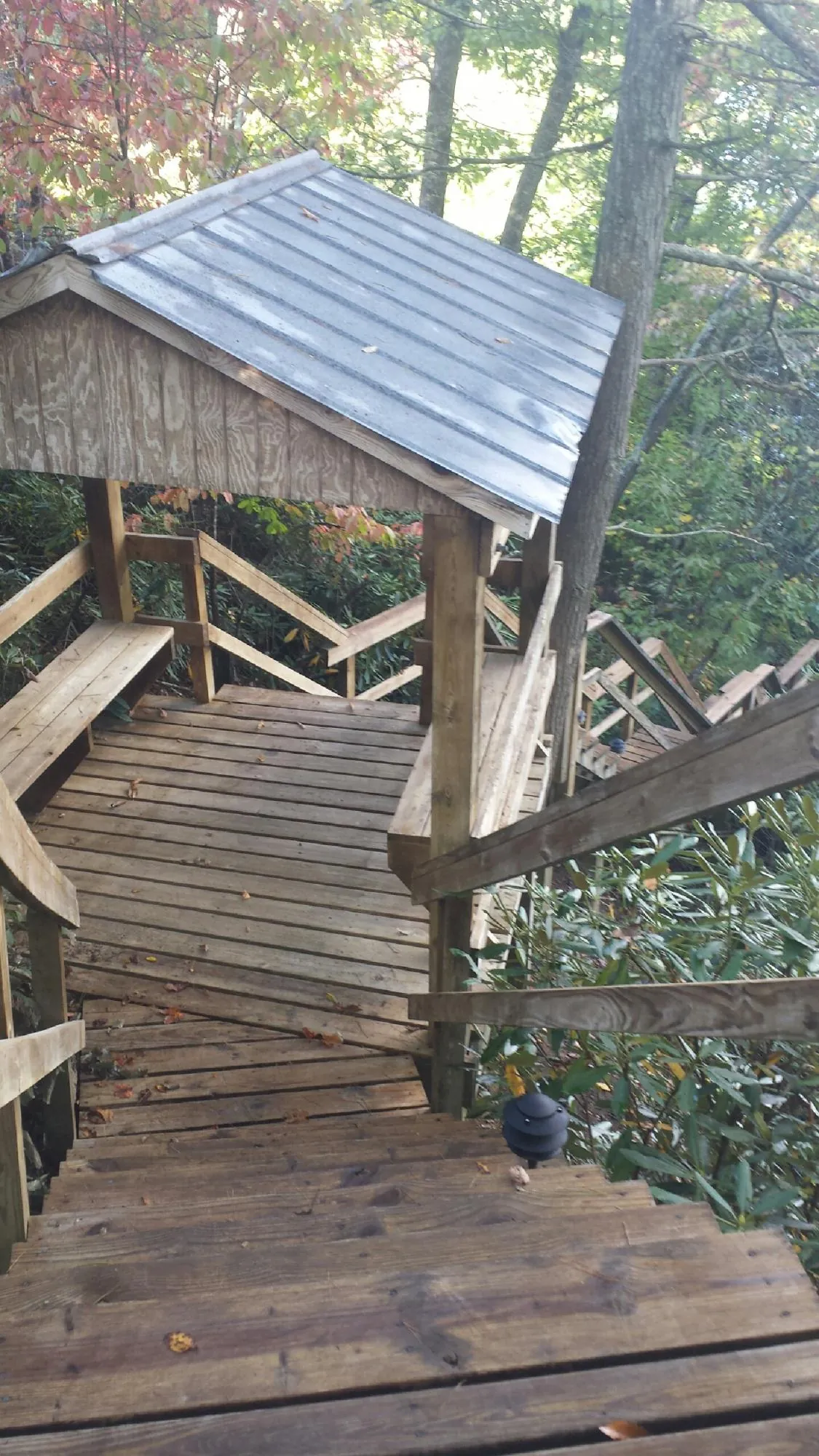 Metal roofed shelter over wooden steps on a wooded walkway — Skylight Repair & Installation work by our crew in Waseca